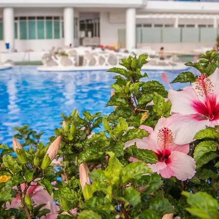 Ocean Front With Ac In Mirador Paraiso, Pp21 Lejlighed